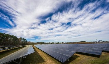 pexels-nc-farm-bureau-mark-15751120-572x381.jpg