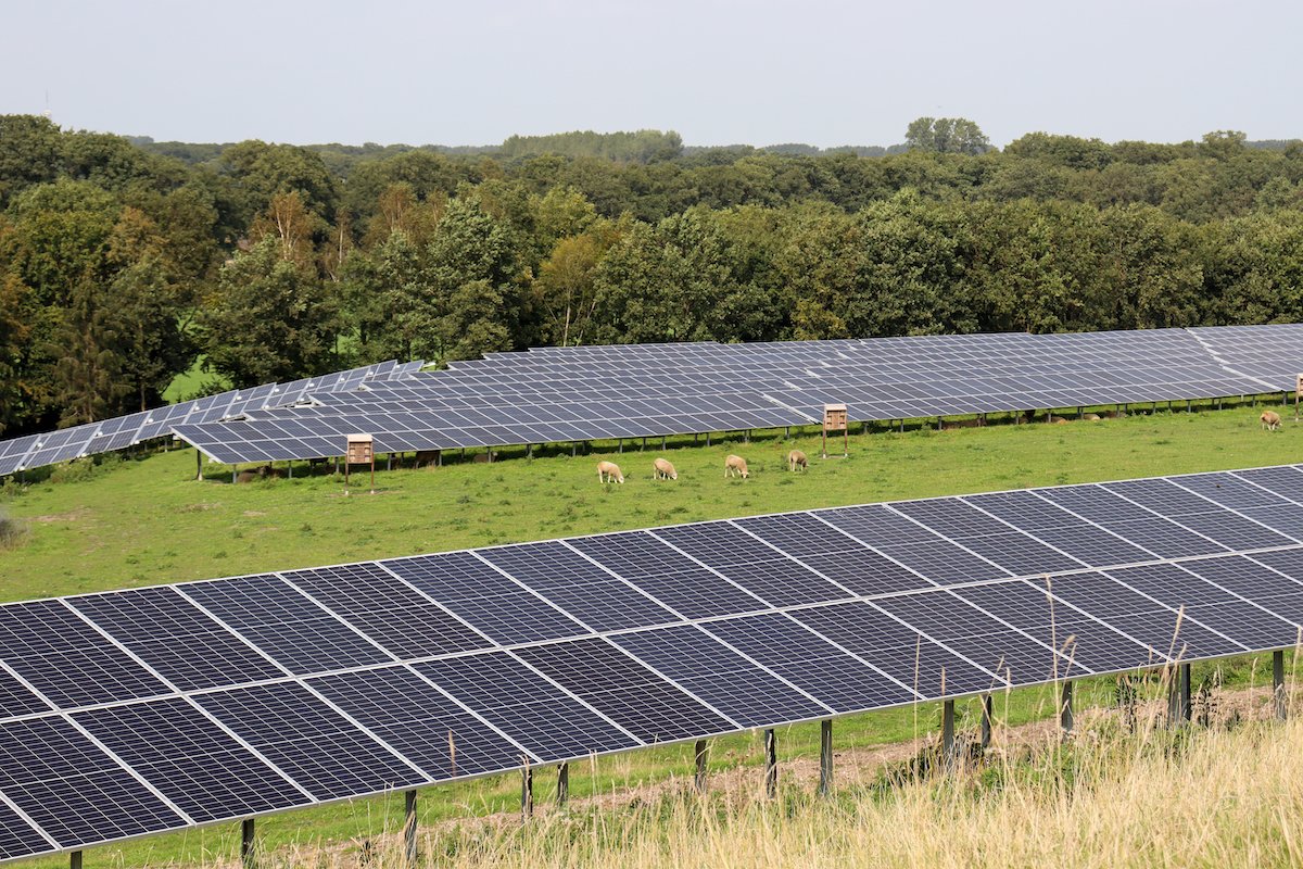 Armhoede_-TPSolar.jpg