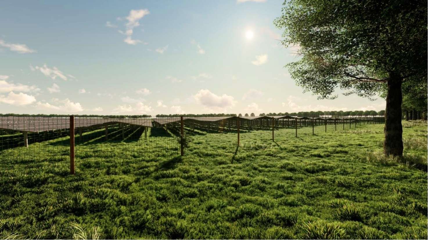 Zonnepark-Nieuweweg-header-v2.jpg