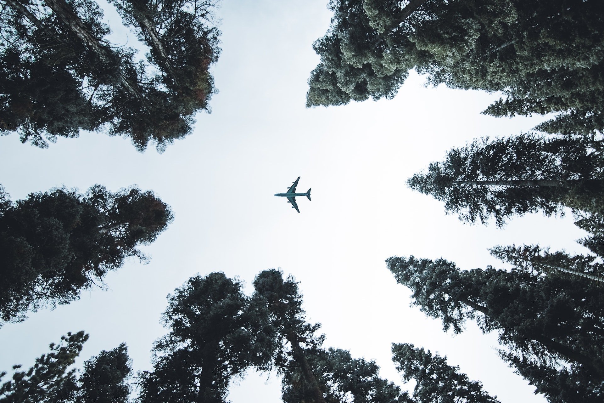 header-co2-compenseren.jpg