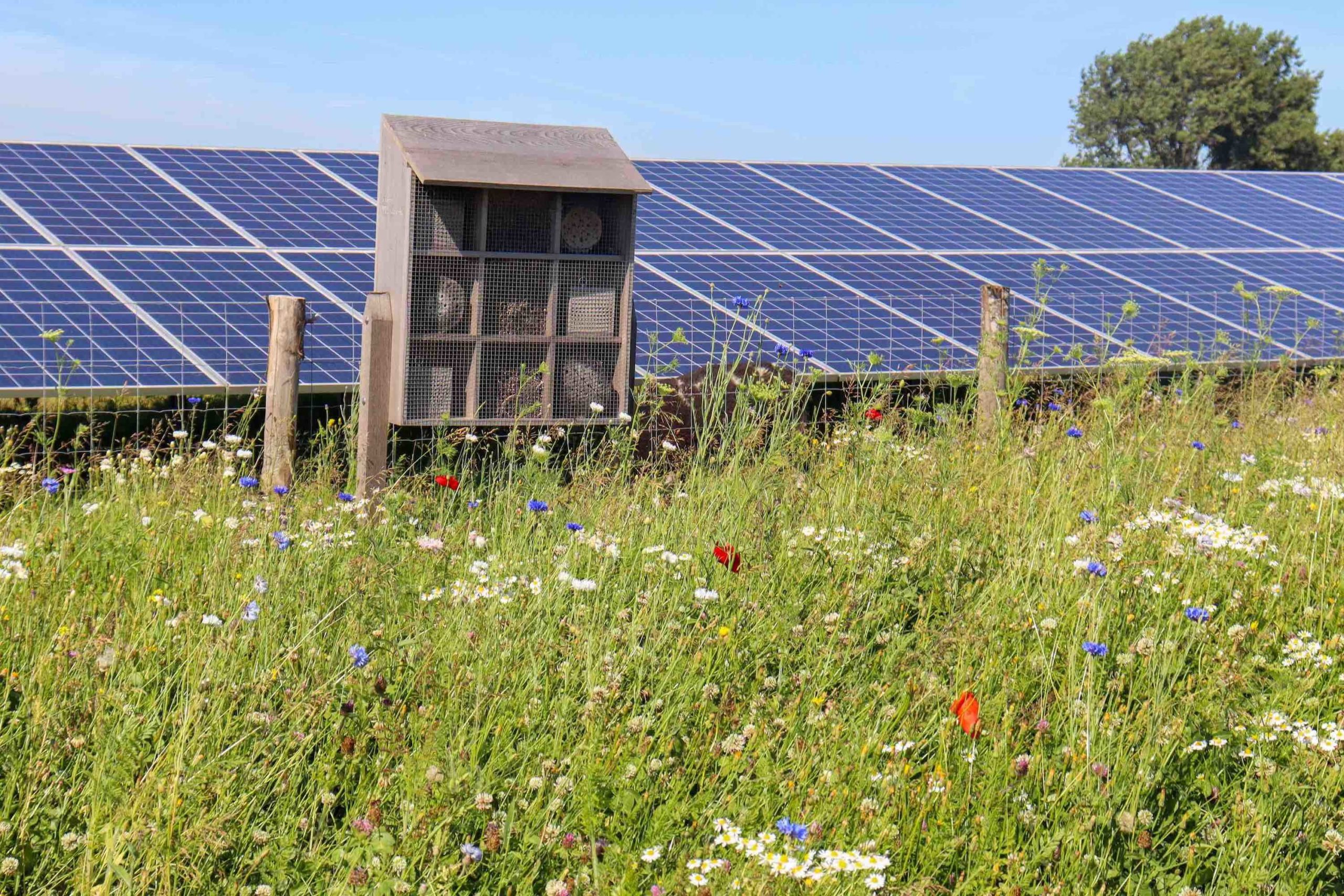 header_lungendonkTPSolar-scaled.jpg