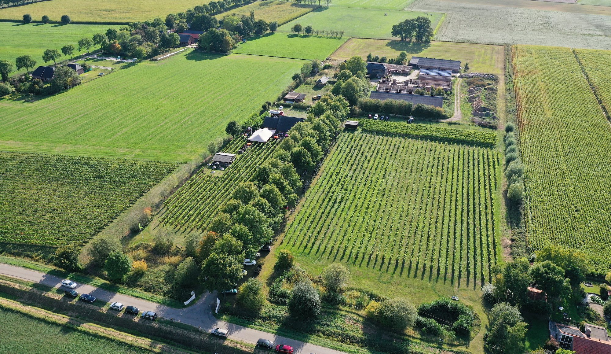 overzicht-wijnfeest-zomer-kopie-klein-.jpg